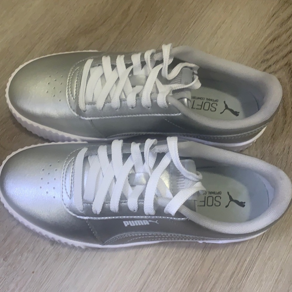 Silver Pumas